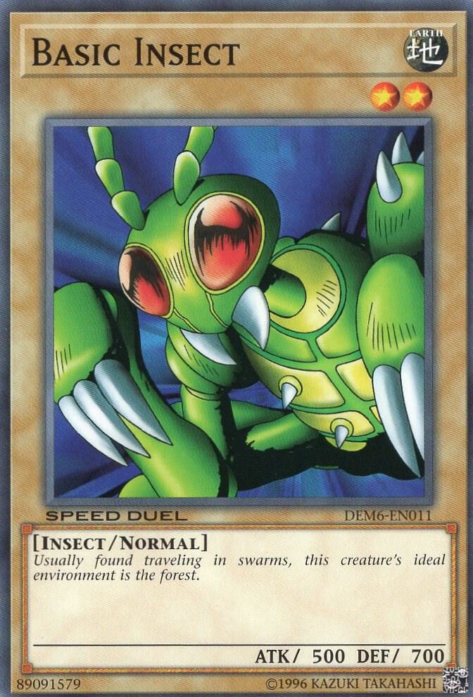 Basic Insect