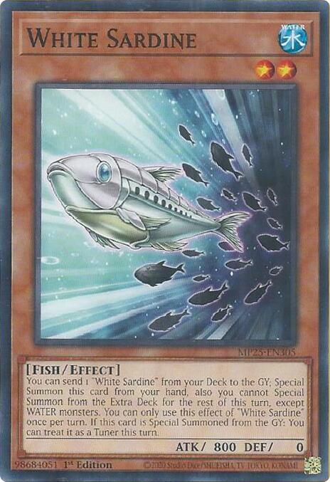 White Sardine