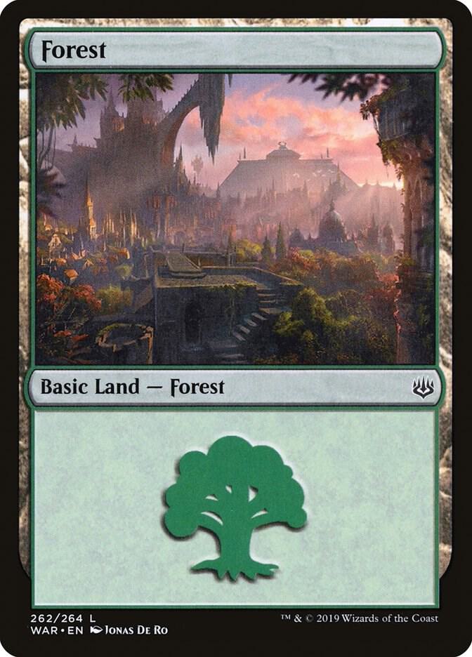 Forest (262)