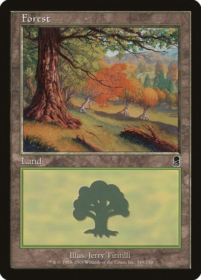 Forest (349)