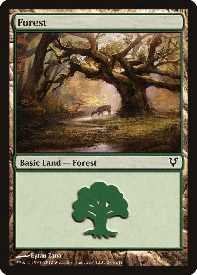 Forest (244)