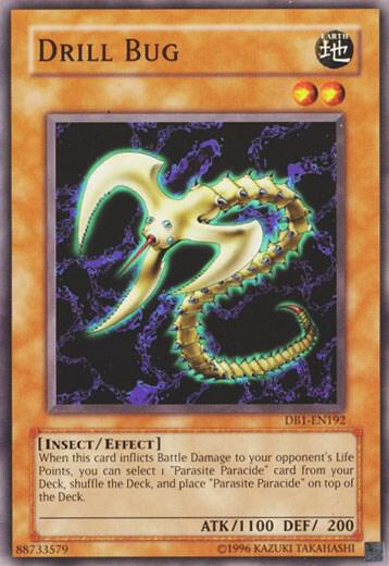 Drill Bug