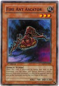 Fire Ant Ascator