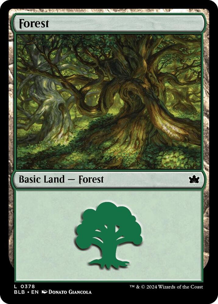 Forest (0378)