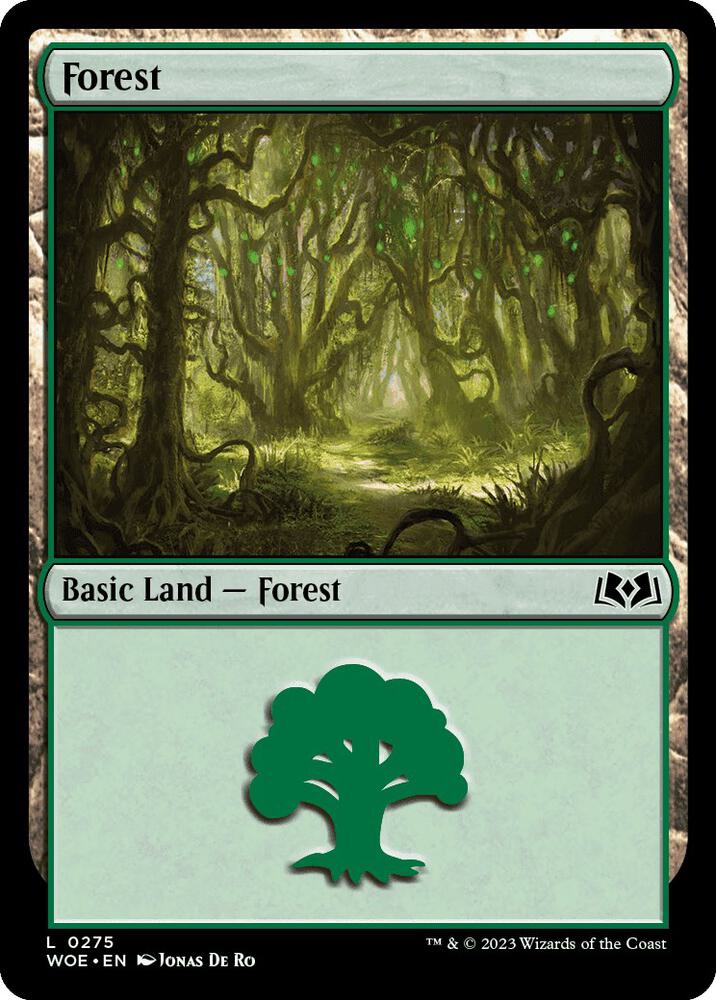 Forest (0275)