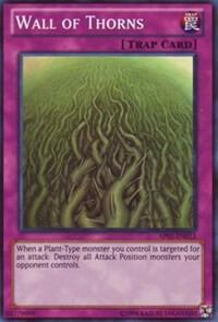 Wall of Thorns