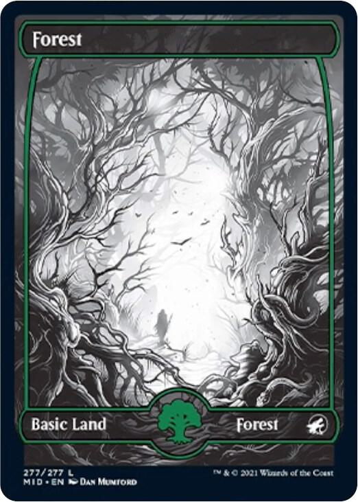 Forest (277)