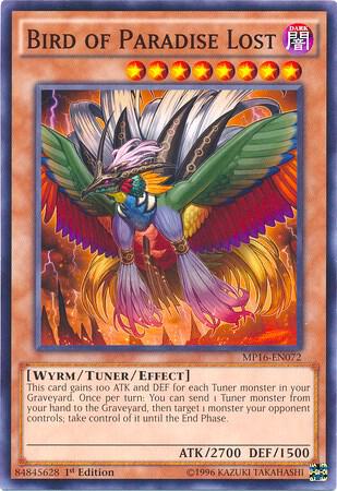Bird of Paradise Lost