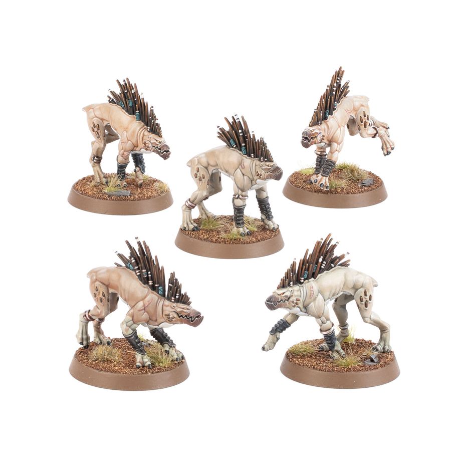 56-58 Tau Empire: Kroot Hounds
