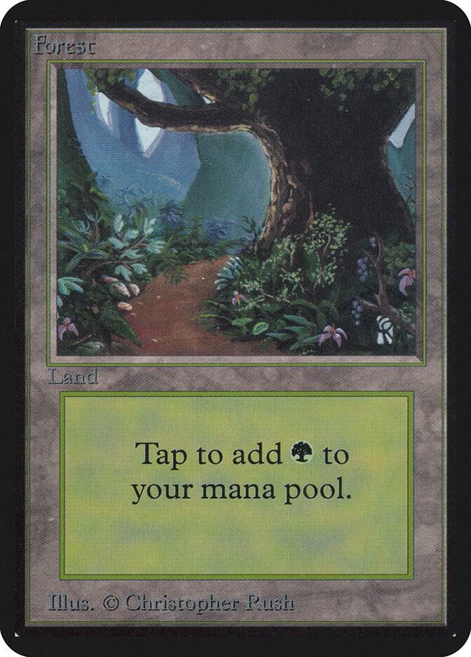 Forest (B)