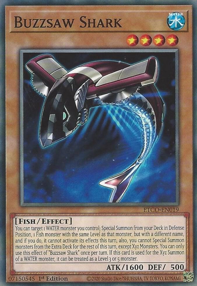 Buzzsaw Shark