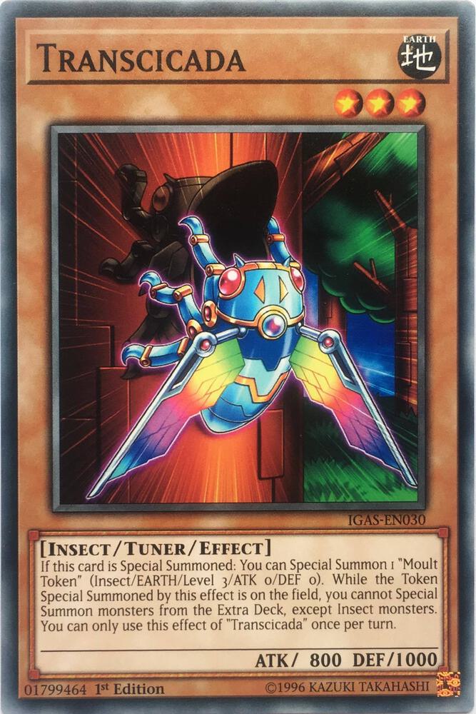 Transcicada