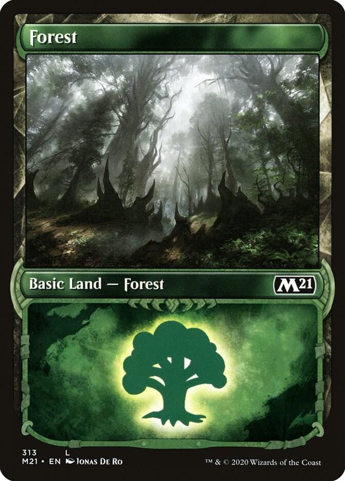 Forest (Showcase)